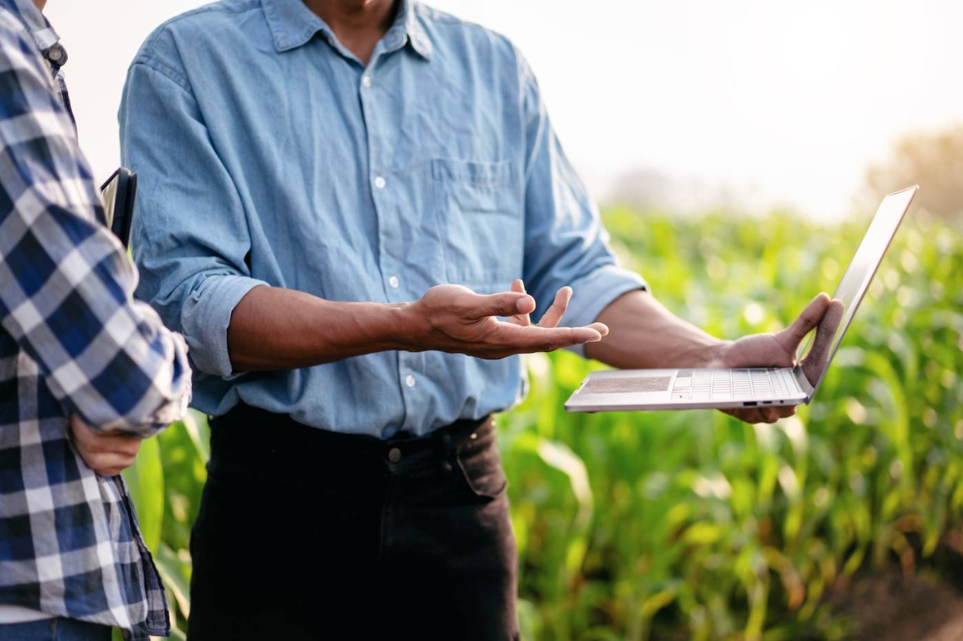 Two men looking at a laptop in front of a crop field