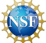 NSF Logo
